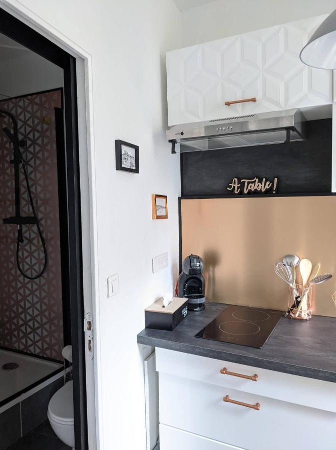 Appartement Hypercentre Calme Proche Centre Des Congres أنجير المظهر الخارجي الصورة